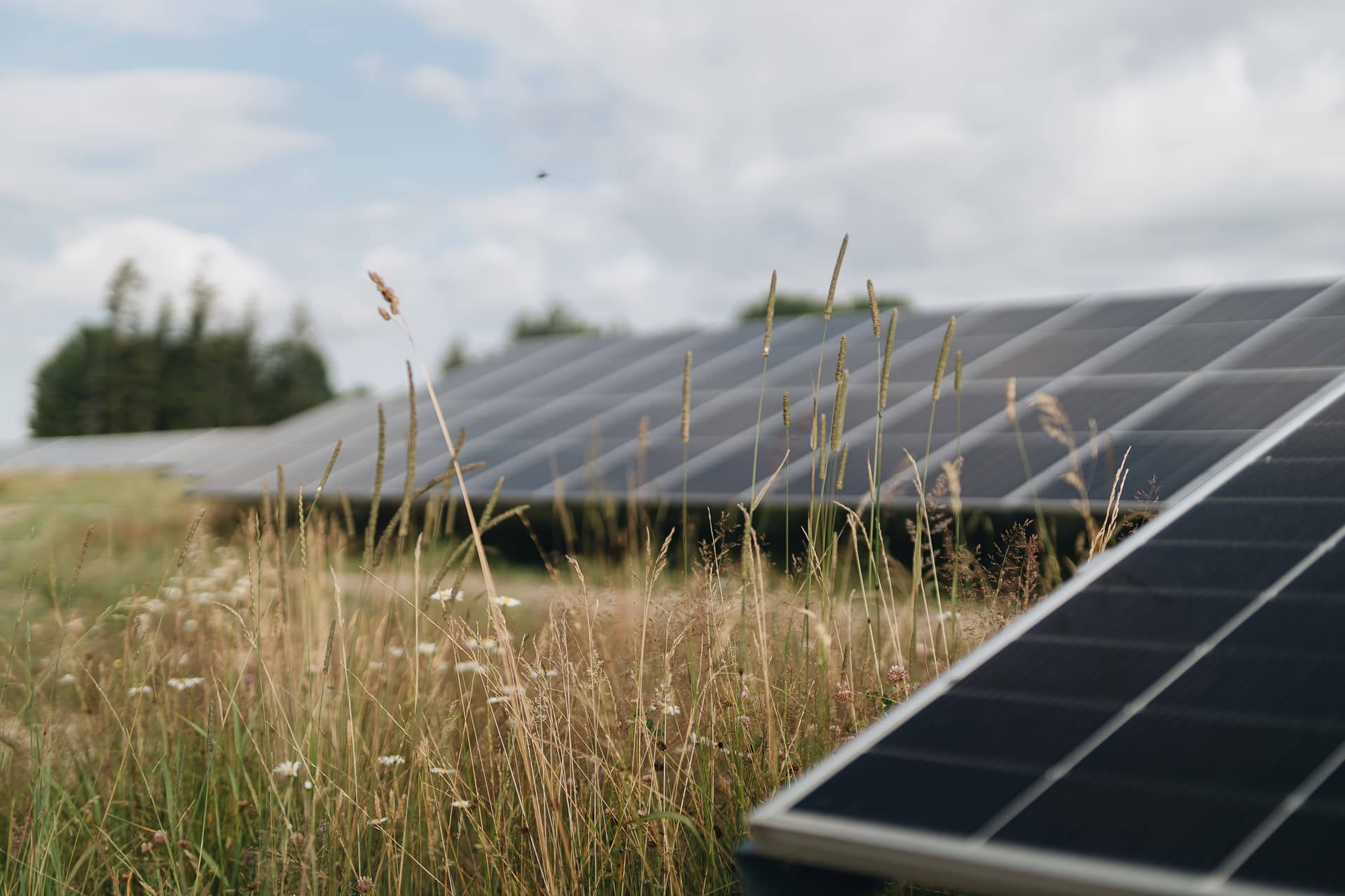 “Ignitis Renewables": Zaļās enerģijas vilnis Latvijā – investīcijas, kas veido nākotni